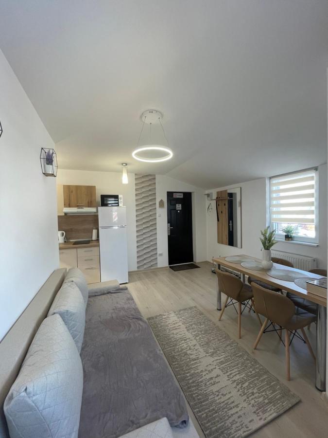 Jokai Apartments Nr9, Code Entry Сфинту-Ґеорґе Екстер'єр фото